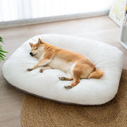 Coussin Nuage Chien Lavable