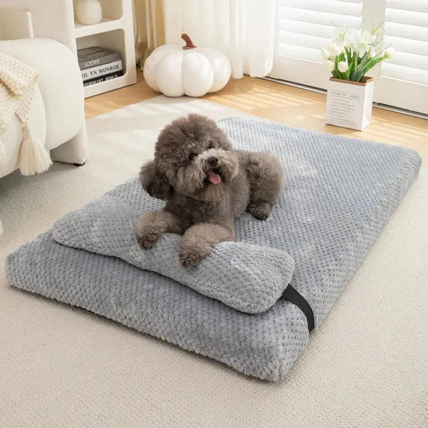 Lit Pour Chien Avec Coussin Intégré Coussin Chien