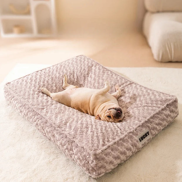 Coussin Pour Chien Lavable