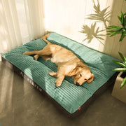 Grand Coussin Chien Lavable