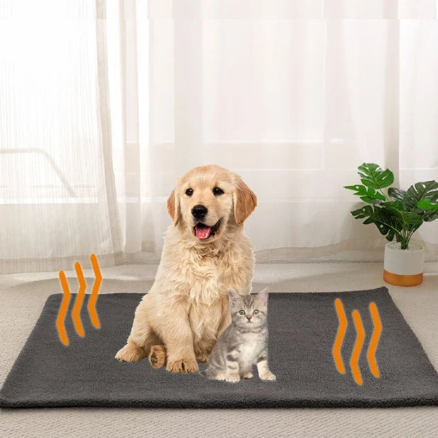 Tapis Chauffant Pour Chien