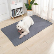 Tapis Lavable Pour Chien